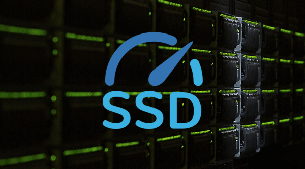 SSD Hosting Nedir?